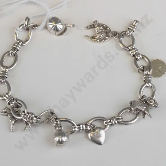 Silver wrist chain with attached items