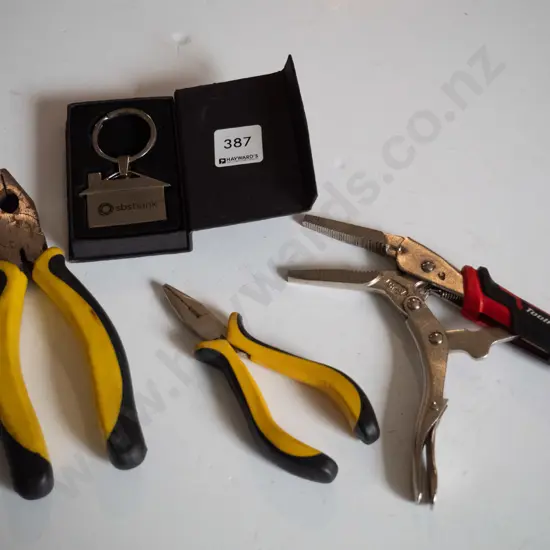 Pliers, vice grip & SBS key ring