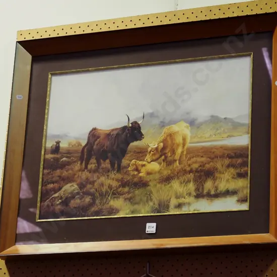 framed print - highland cattle