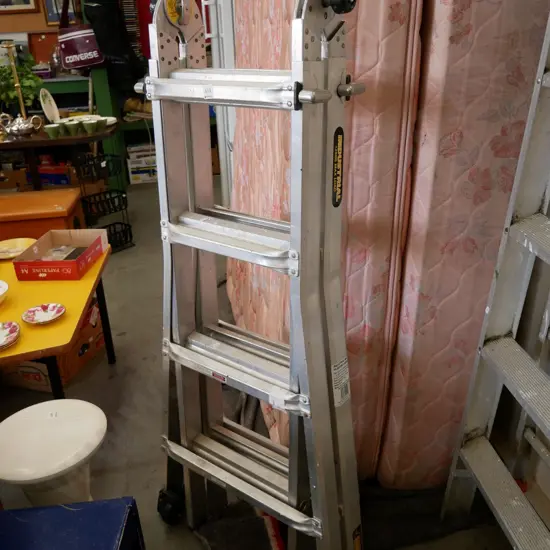 Industrial multi ladder