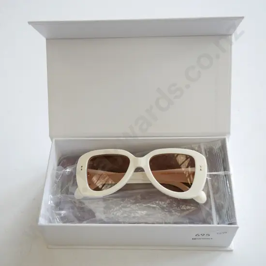 pair of designer sunglasses in case