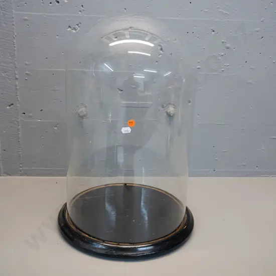 vintage large glass display dome on wooden base H-480 Base D-300