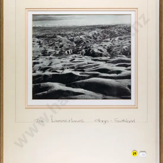 framed black & white photograph - The Lammerlaws  H-220 W-260