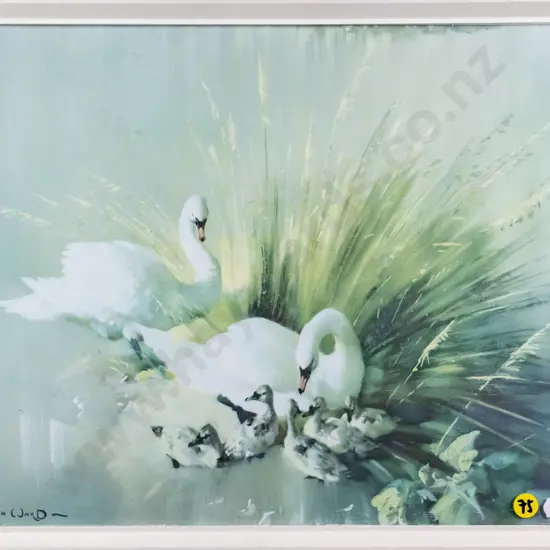 framed Vernon Ward print - swans H-280 W-380