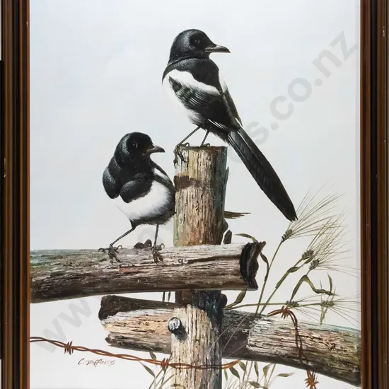 C Jeffares - framed oil - magpies on fence H-600 W-490