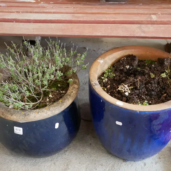 2x blue glazed planters - one with plants