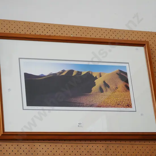 framed photo - Afternoon Light on the Lindis Pass