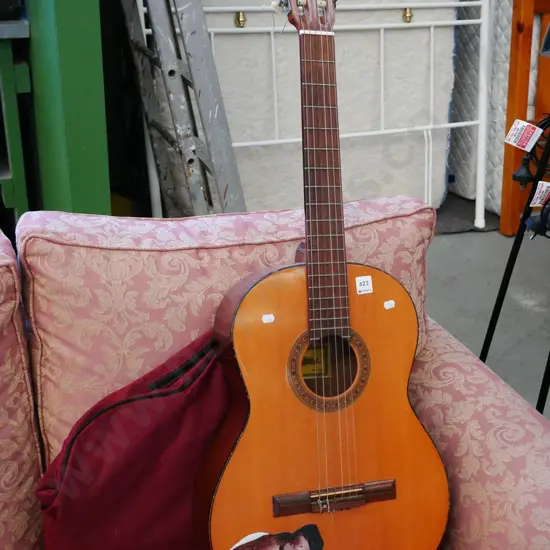 acoustic guitar in soft carry case
