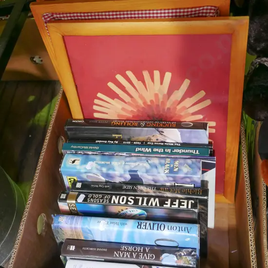 box; sporting books, 3x bed trays 