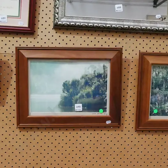 2x framed nature photographs