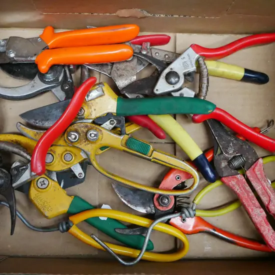 box; gardening implements