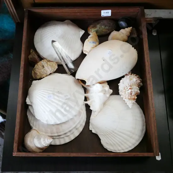 wooden tray; seashells, stones etc