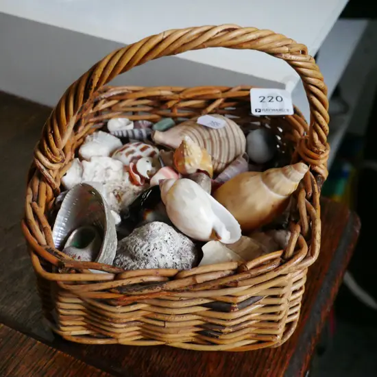 small cane basket of seashells