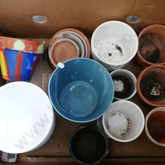 box of garden planters