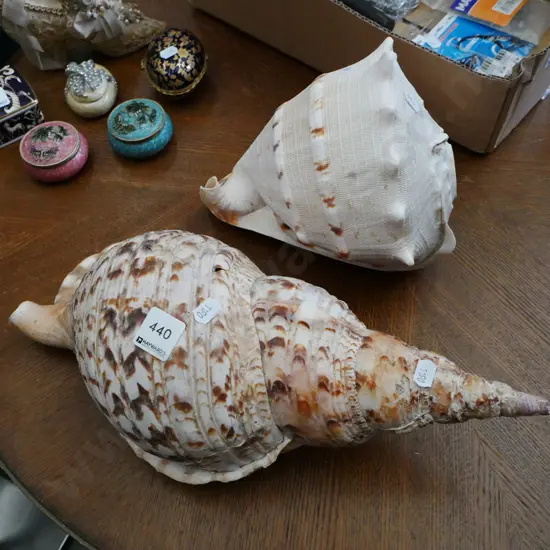 2x large seashells - 1 has repairs