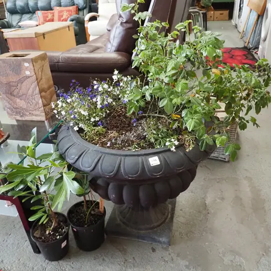 black plastic garden urn with plant Urn H-500 Diam-570