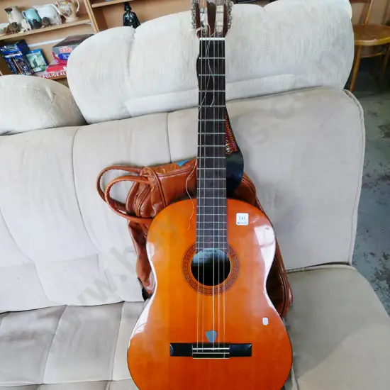 Eterna acoustic guitar and soft carry case