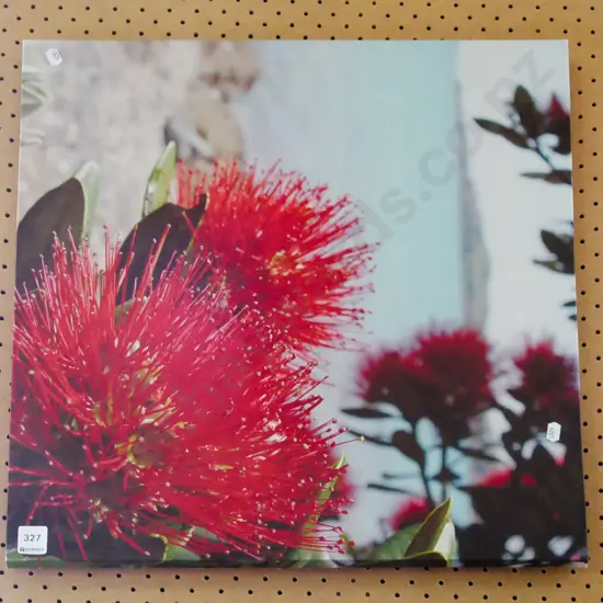 print on boxed canvas  - pohutawaka flowers