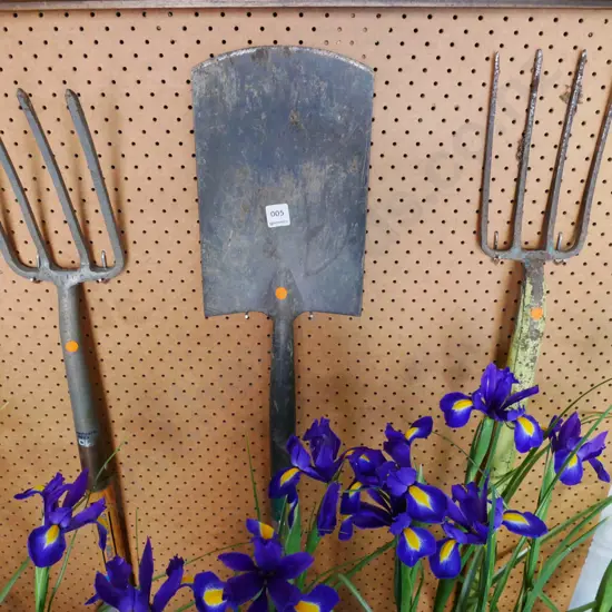 2x garden forks, spade