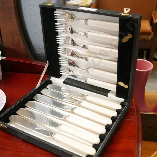 cased bone handled fish knives and forks