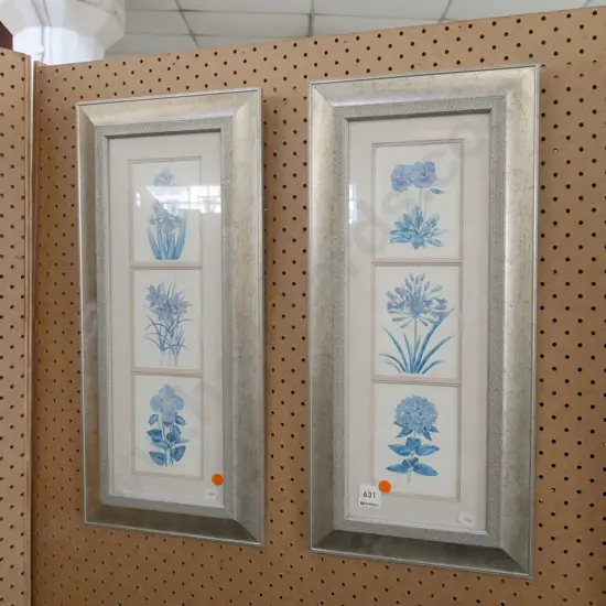 2x framed botanical prints