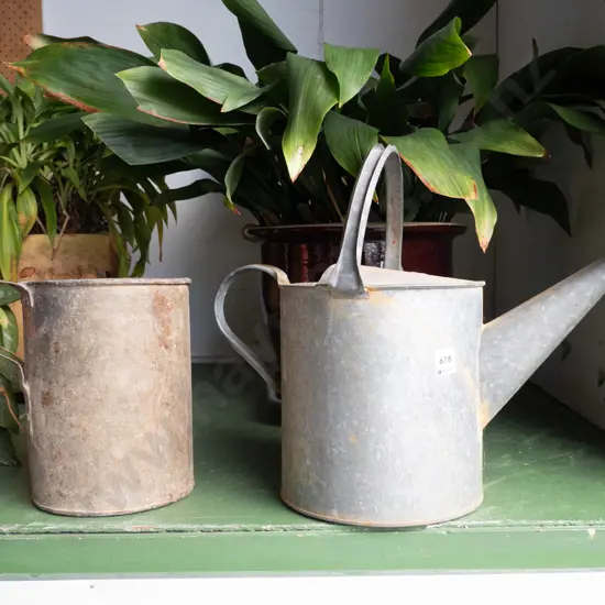 galvanised watering can and pail