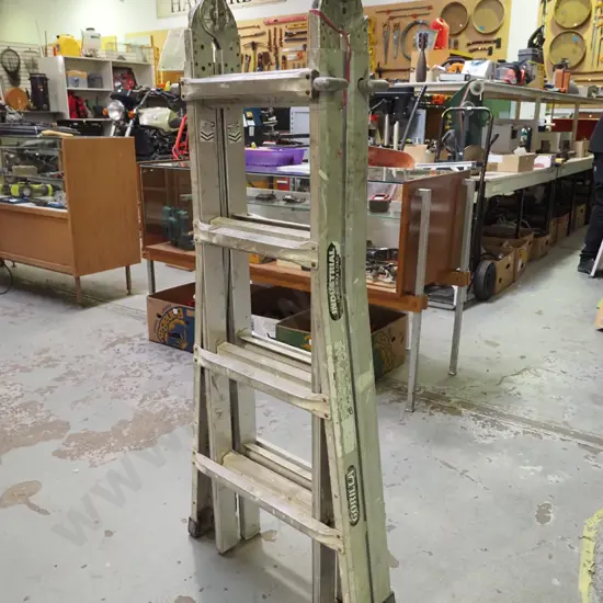 Gorilla multi ladder