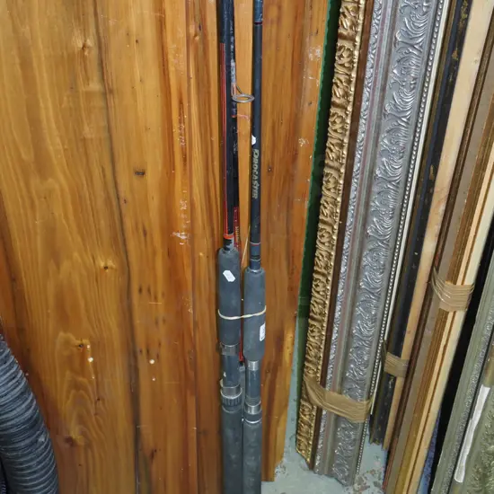 3x fishing rods