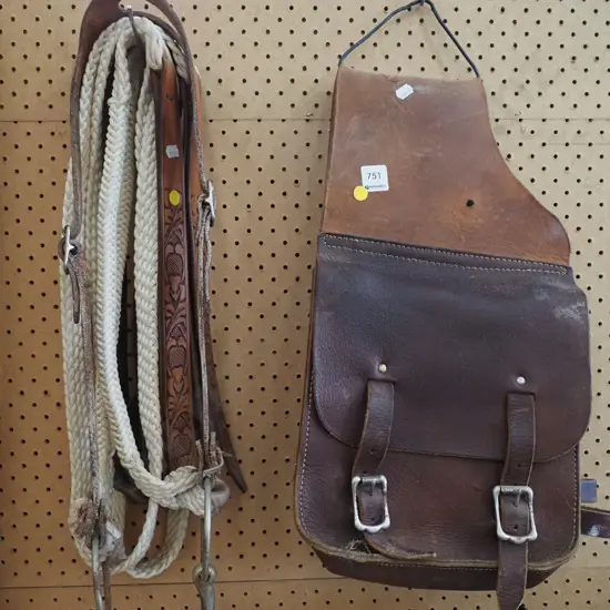 horse tack, saddle bags - yellow dots