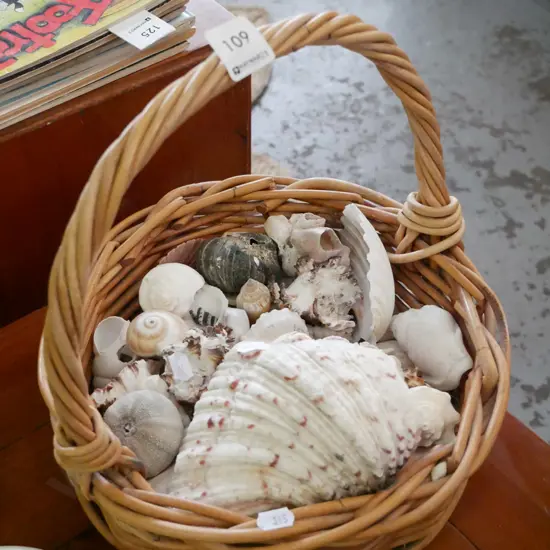 cane basket and seashells