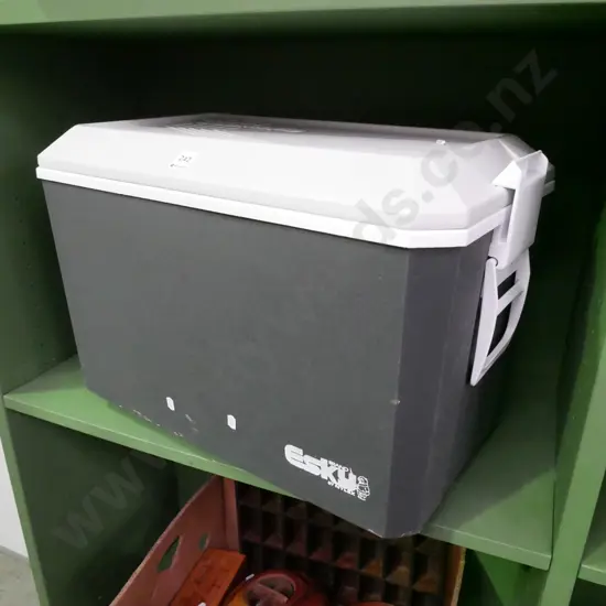 Esky chilly bin