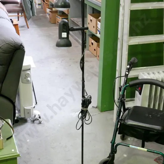 twin bulb halogen light