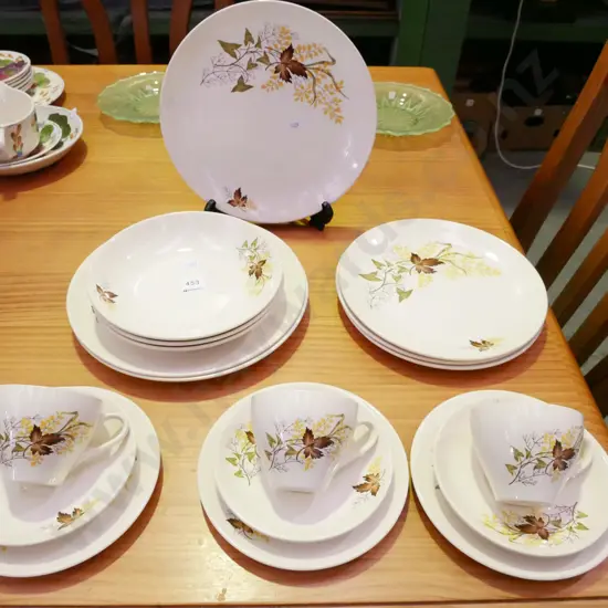 Crown Lynn Autumn Splendor dinner ware; plates, bowls, cups and saucers