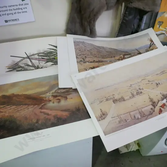 numerous historic NZ prints