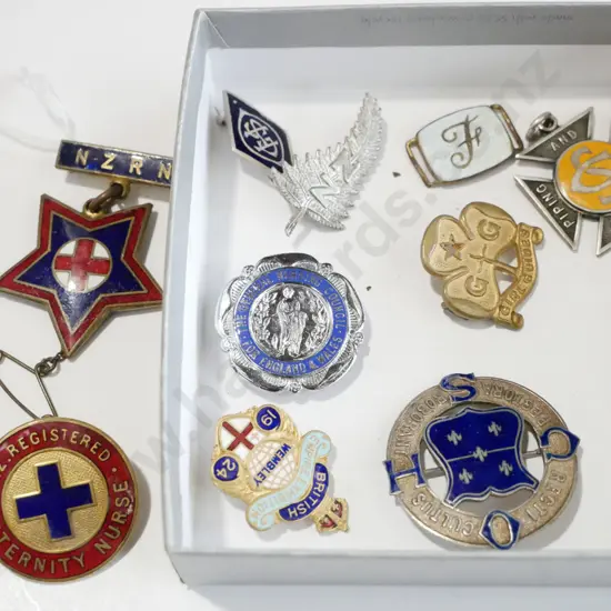 nurses and others badges