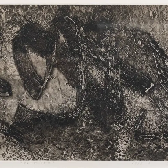 Shimada Kan 1998 - framed etching 1/10 "98-5-25c" H-280 W-580