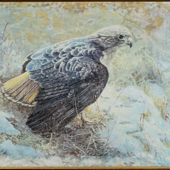 Rick Lewis - framed mixed media "Red Shouldered Hawk" H-320 W-420