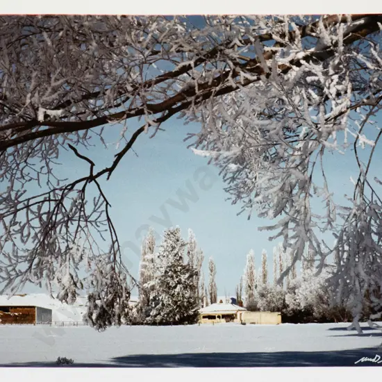 Matheson Beaumont - unframed photograph - winter countryside scene H-245 W-350