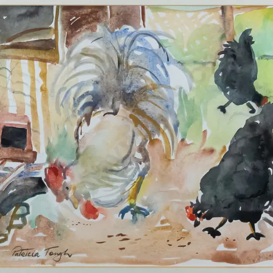Patricia Tough - framed watercolour "Black Hens & Rooster" H-250 W-350