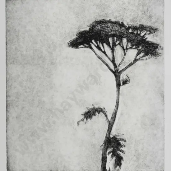 Pauline Bellamy - framed etching 36/50 - tree H-205 W-90 (framing needs attention)
