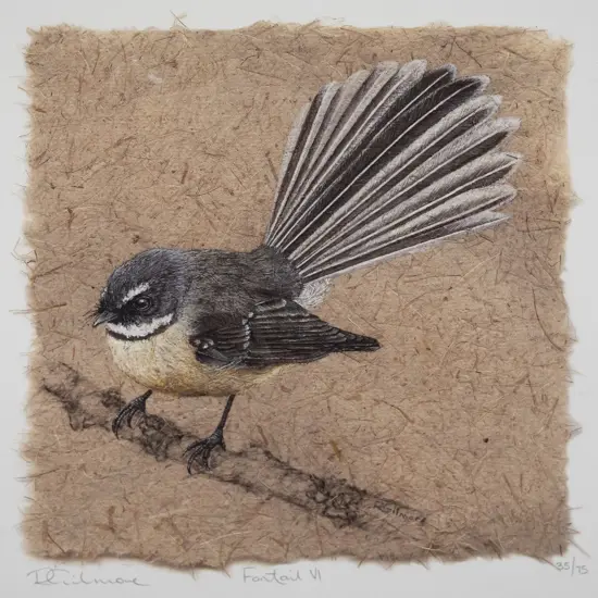 Rebecca Gilmore - framed ltd edition giclee print 35/75 "Fantail VI" H-190 W-190