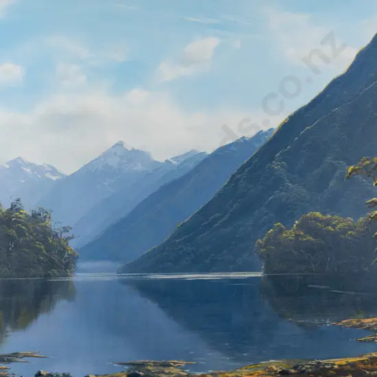 Paul Cato - boxed oil on canvas - Doubtful Sound, Fiordland H-450 W-610
