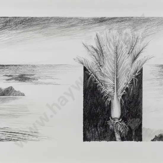 Brian C Strong '05 - framed pencil "Study Drawing Number 11" H-190 W-440