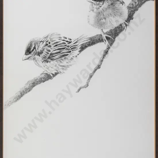 Geoff Williams '99 - framed pencil - birds H-270 W-180