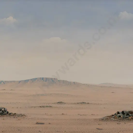 Paul Kiddo 03 -framed oil -plants & landscape Nambia H-260 W-400