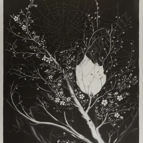 Rei Hamon - framed ltd edition print 456/600 - cobweb on branch H-510 W-410