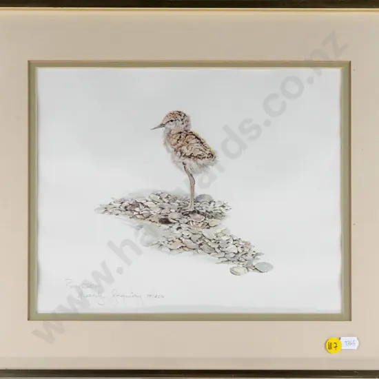 framed Merrilyn Jaquiery ltd edition print "Pied Stilt' (some warping) H-220 W-280