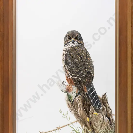 Paydn Brown 1982 - framed watercolour - bird and prey H-640 W-400