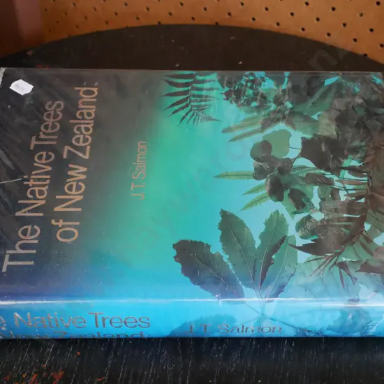 The Native Trees of New Zealand by JT Salmond