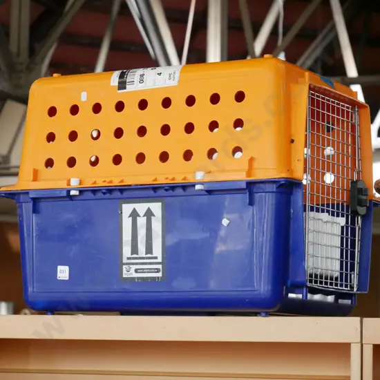 plastic airline pet carrier